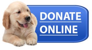 Donate Puppy