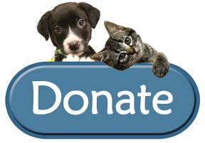 dog donate near me